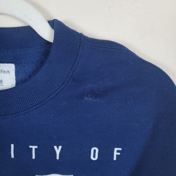 Abercrombie & Fitch Sweatshirt Mens Large University of Michigan College Vault - Picture 5 of 8
